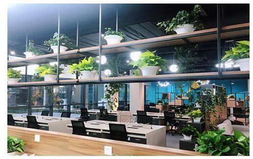 首创中传传媒产业创新中心办公室效果图2